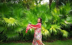 小草资源在线观看视频